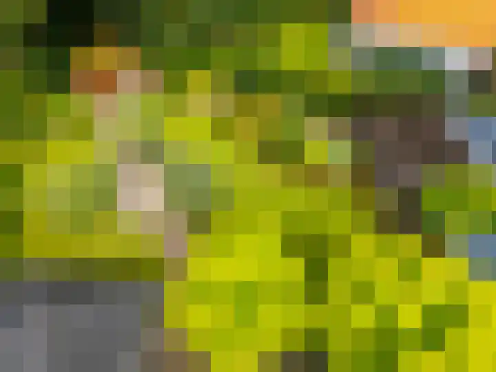 Hunzeweg 38 De Groeve thumbnail 62
