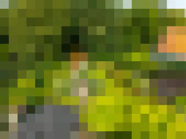 Hunzeweg 38 De Groeve thumbnail 63