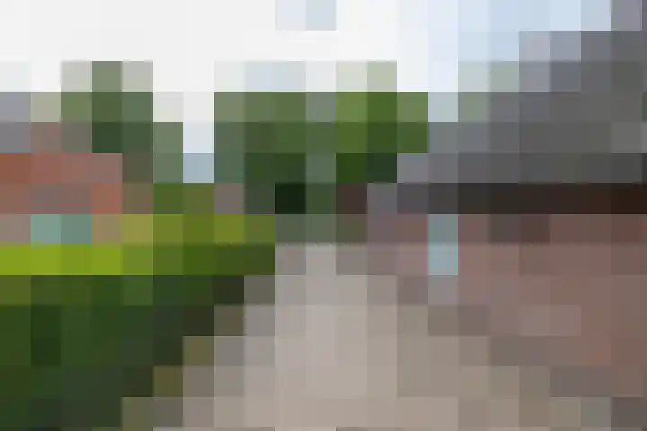 Hunzeweg 38 De Groeve thumbnail 64