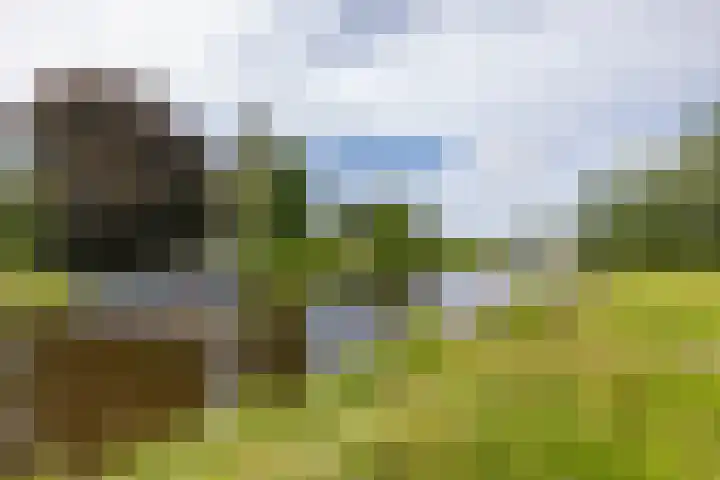 Hunzeweg 38 De Groeve thumbnail 65