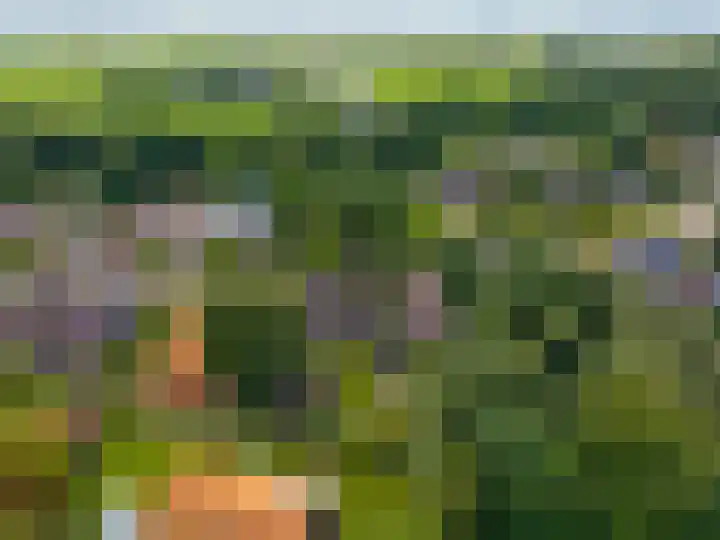 Hunzeweg 38 De Groeve thumbnail 66