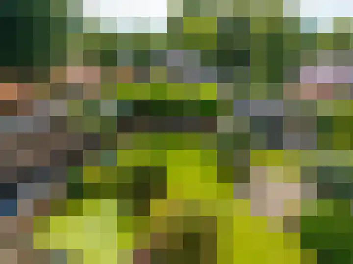 Hunzeweg 38 De Groeve thumbnail 67