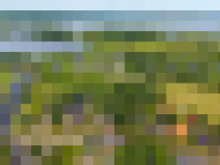 Hunzeweg 38 De Groeve thumbnail 68