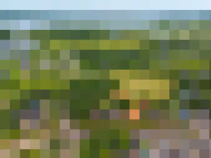 Hunzeweg 38 De Groeve thumbnail 69