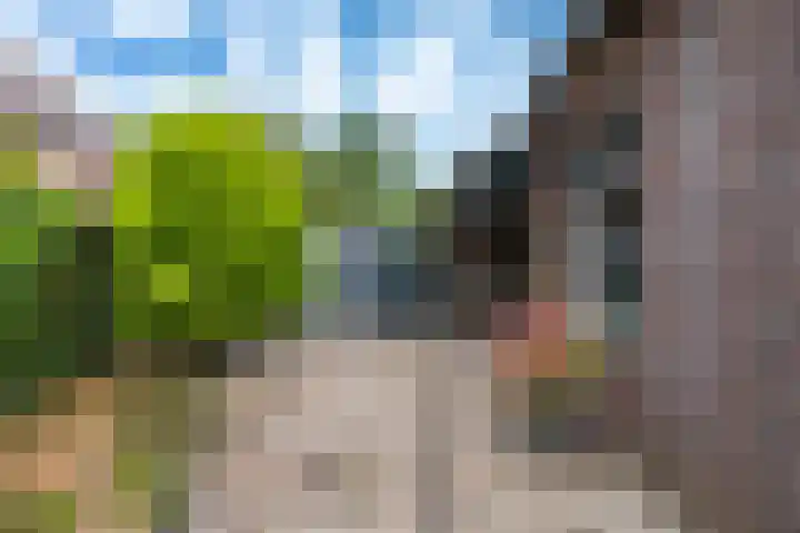 Hunzeweg 38 De Groeve thumbnail 7
