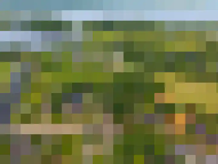 Hunzeweg 38 De Groeve thumbnail 70
