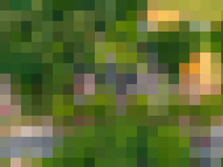 Hunzeweg 38 De Groeve thumbnail 72