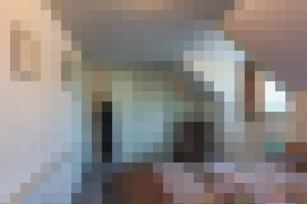 Hunzeweg 45 De Groeve thumbnail 24
