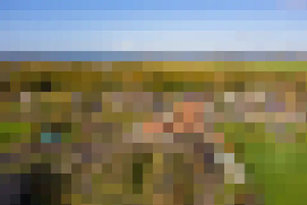 Hunzeweg 45 De Groeve thumbnail 27
