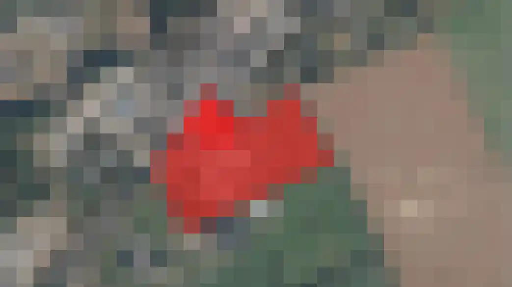 Hunzeweg 45 De Groeve thumbnail 33