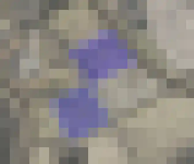 Hunzeweg 45 De Groeve thumbnail 36