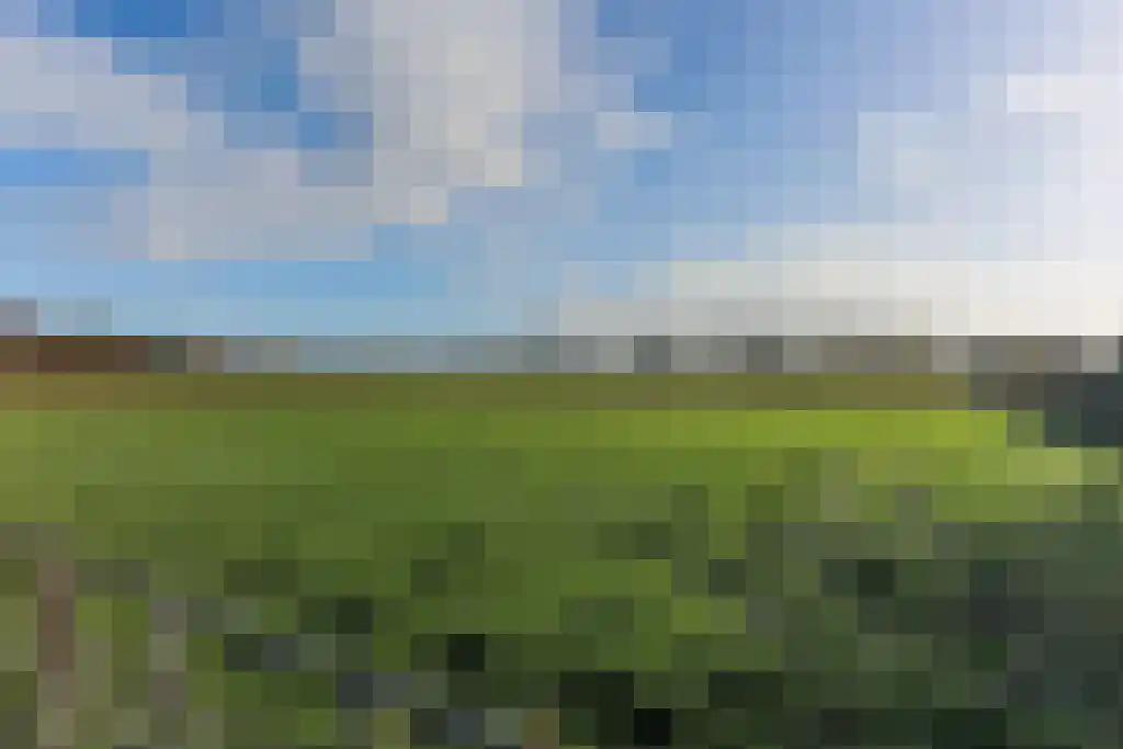Hunzeweg 45 De Groeve thumbnail 8