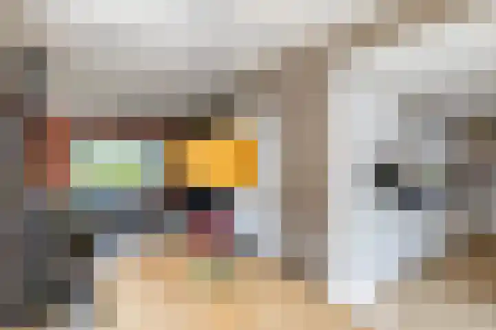 Hunzeweg 48 Garnwerd thumbnail 13