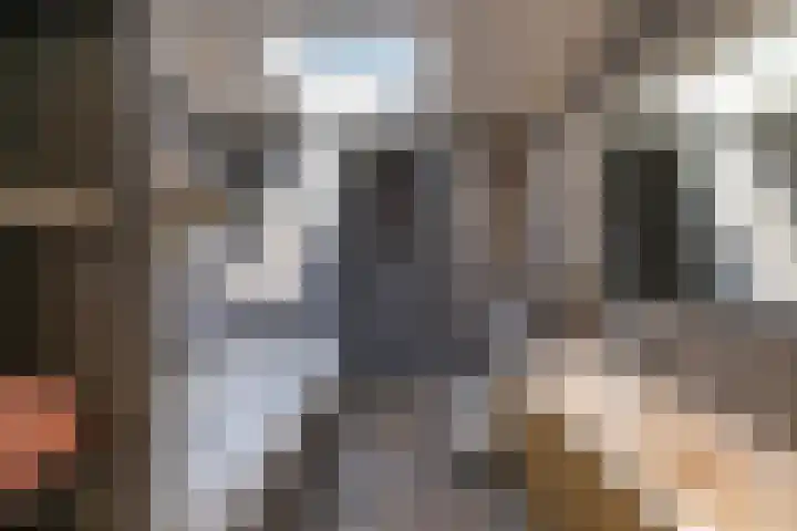 Hunzeweg 48 Garnwerd thumbnail 23