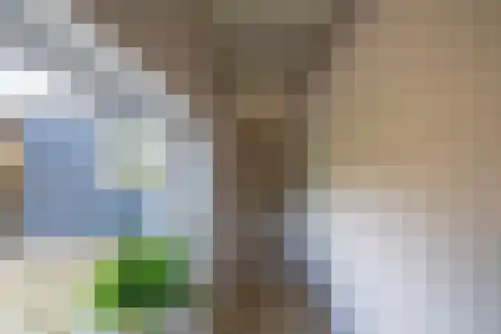 Hunzeweg 48 Garnwerd thumbnail 33