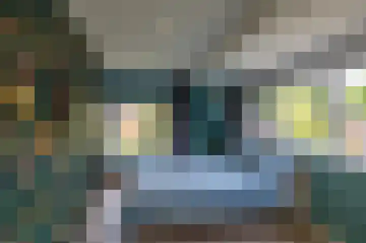 Hunzeweg 48 Garnwerd thumbnail 35