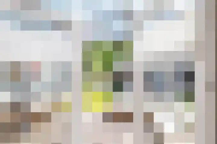 Hunzeweg 48 Garnwerd thumbnail 41