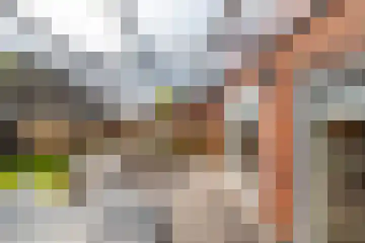 Hunzeweg 48 Garnwerd thumbnail 42