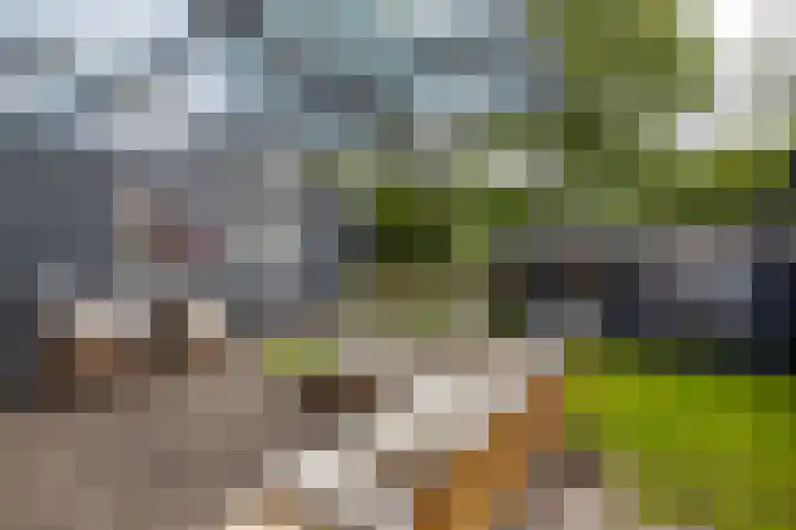 Hunzeweg 48 Garnwerd thumbnail 43