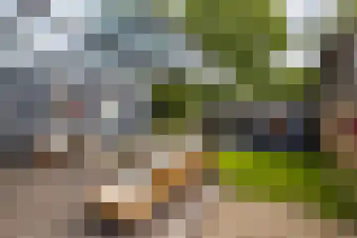 Hunzeweg 48 Garnwerd thumbnail 44