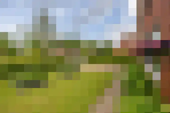 Hunzeweg 48 Garnwerd thumbnail 52