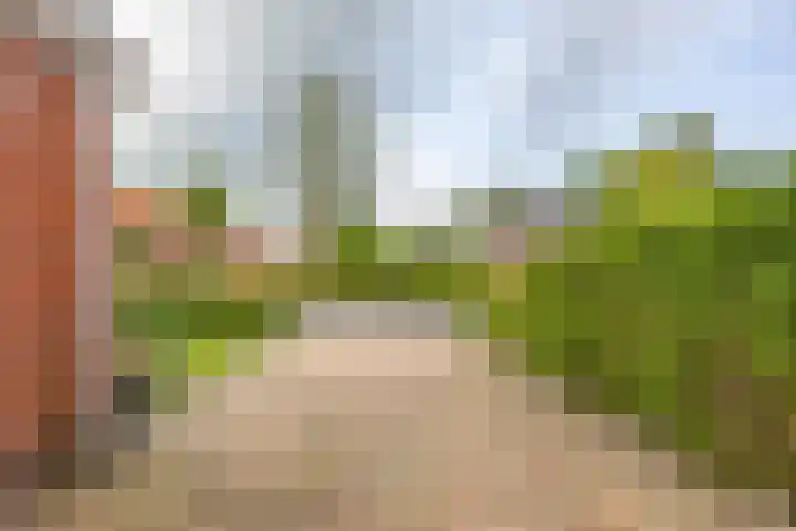 Hunzeweg 48 Garnwerd thumbnail 53