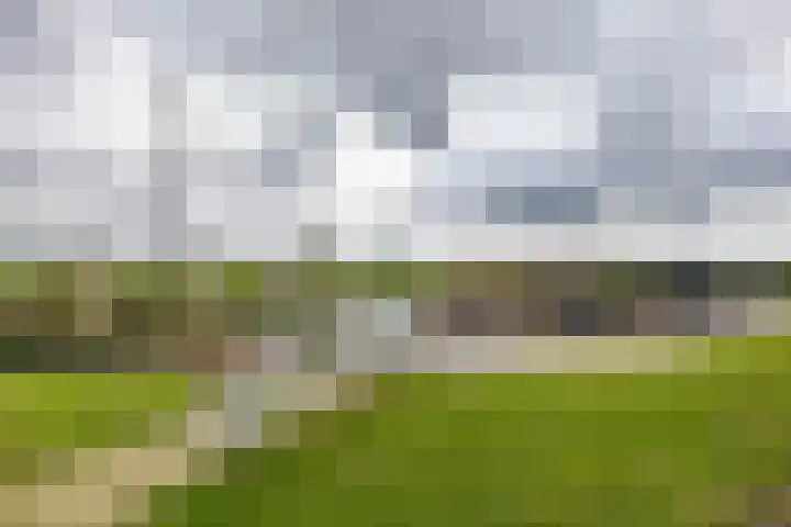 Hunzeweg 48 Garnwerd thumbnail 58