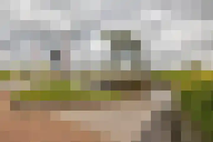 Hunzeweg 48 Garnwerd thumbnail 59