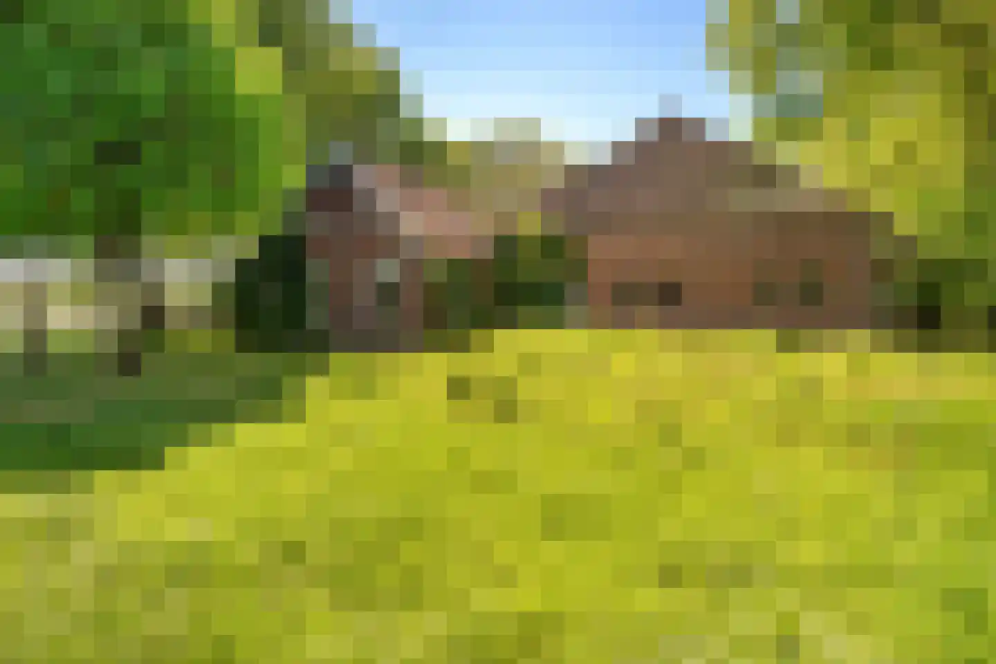 Hunzeweg 86 De Groeve thumbnail 10