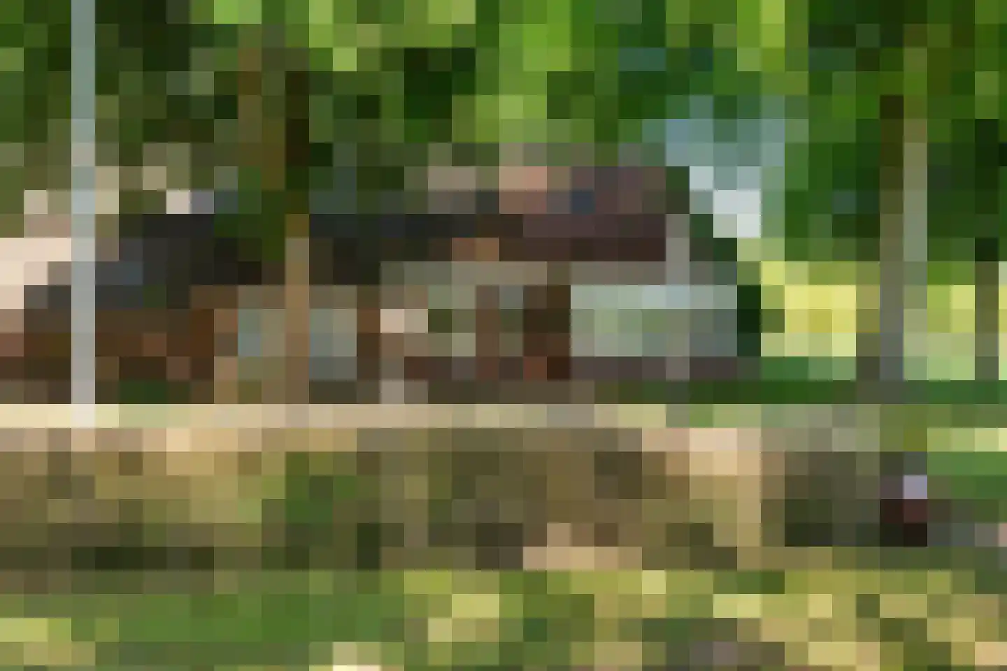 Hunzeweg 86 De Groeve thumbnail 12