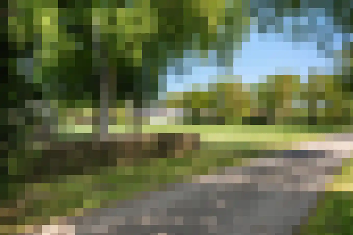 Hunzeweg 86 De Groeve thumbnail 13