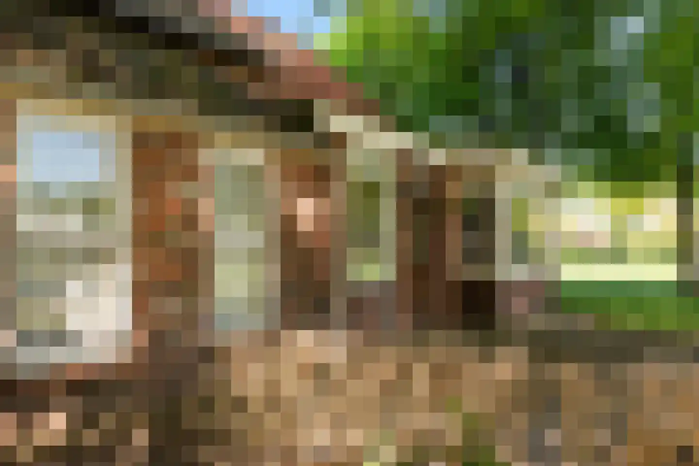 Hunzeweg 86 De Groeve thumbnail 14