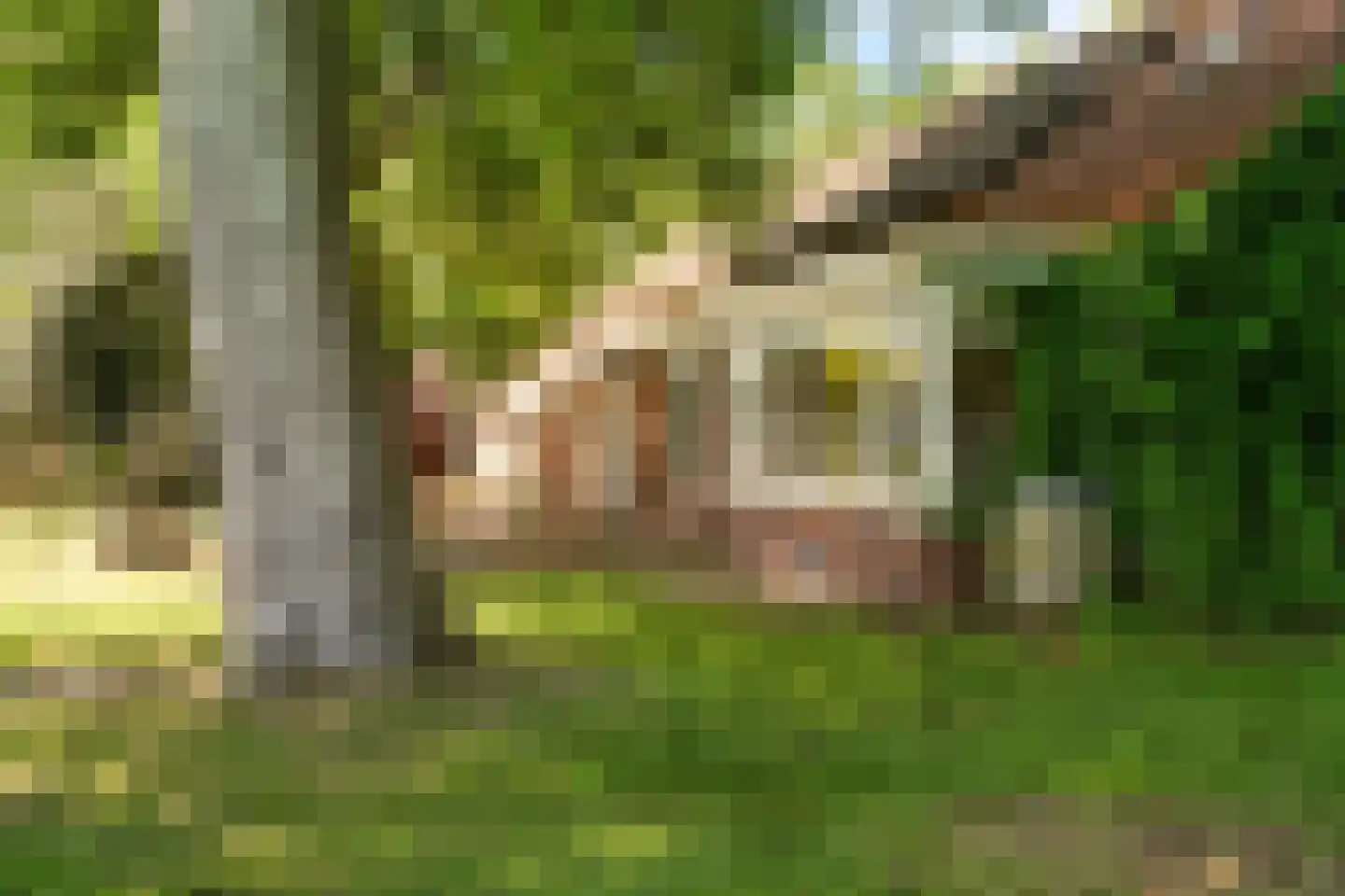 Hunzeweg 86 De Groeve thumbnail 15