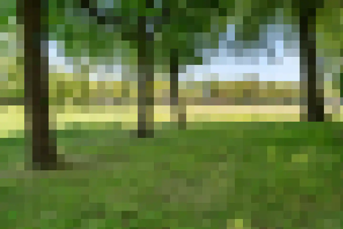 Hunzeweg 86 De Groeve thumbnail 16
