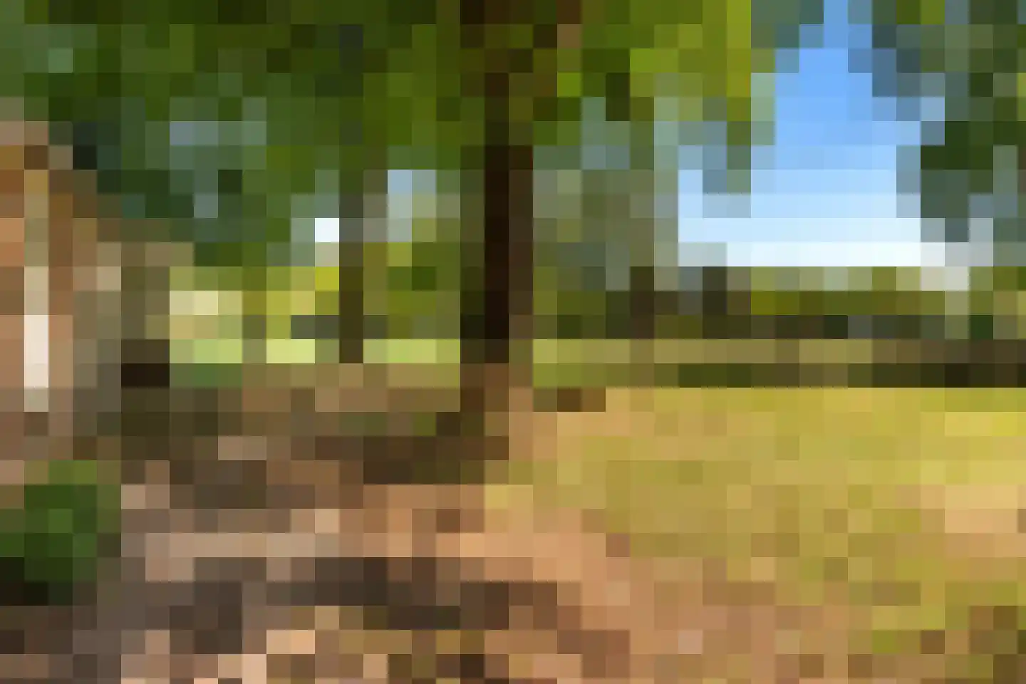 Hunzeweg 86 De Groeve thumbnail 18