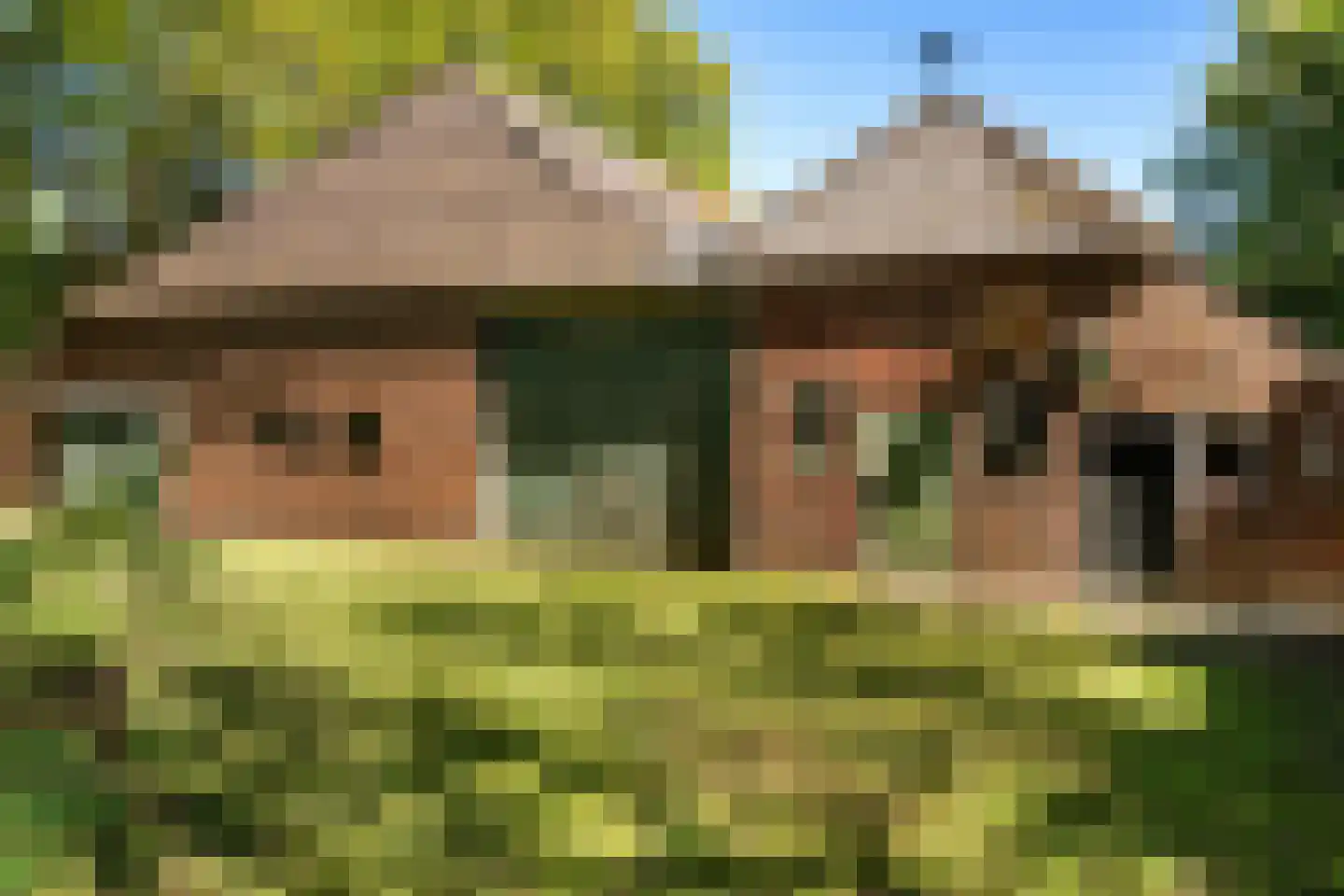 Hunzeweg 86 De Groeve thumbnail 19