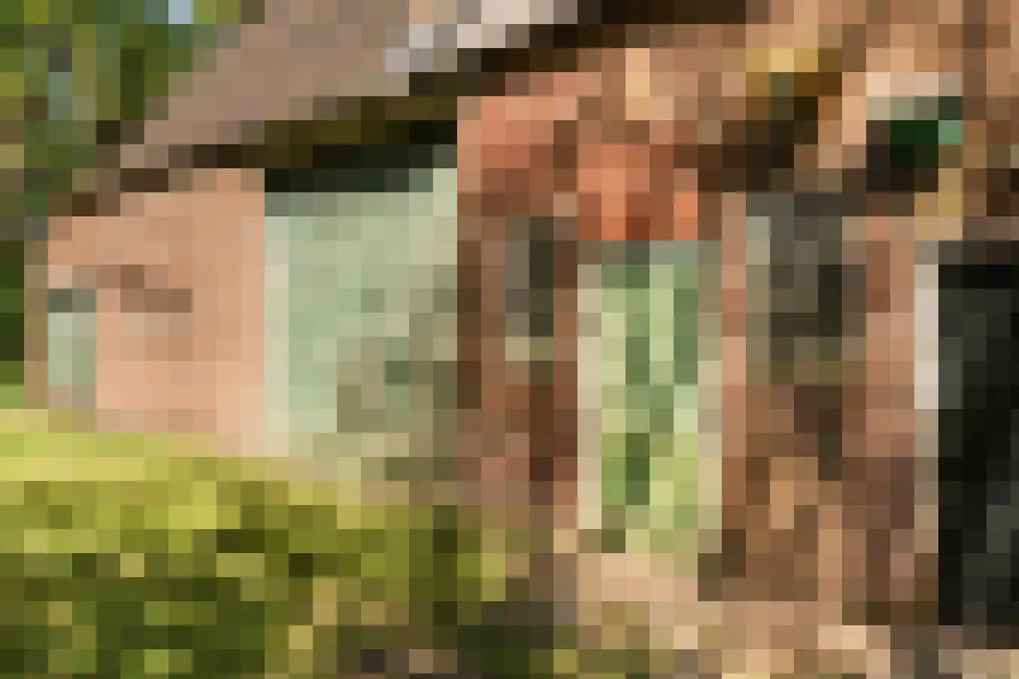 Hunzeweg 86 De Groeve thumbnail 20