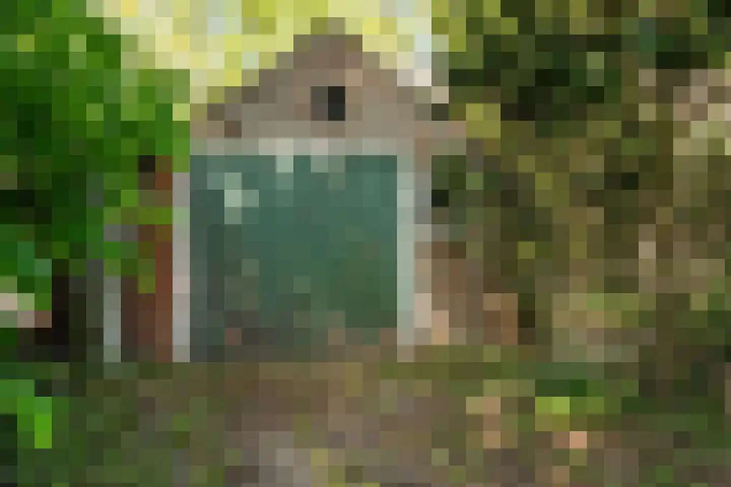 Hunzeweg 86 De Groeve thumbnail 21