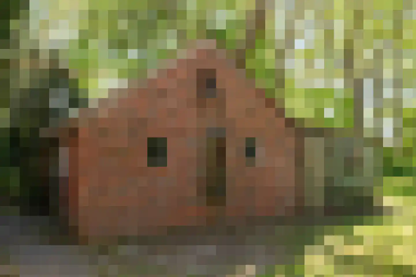 Hunzeweg 86 De Groeve thumbnail 22