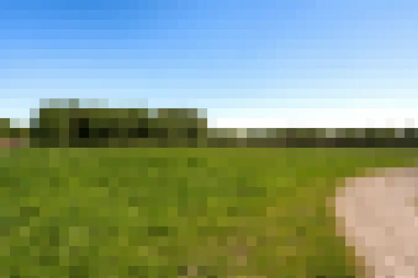 Hunzeweg 86 De Groeve thumbnail 24