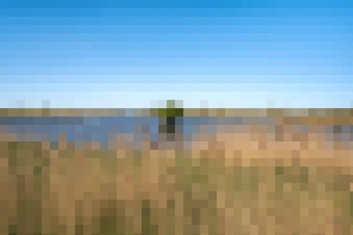 Hunzeweg 86 De Groeve thumbnail 26
