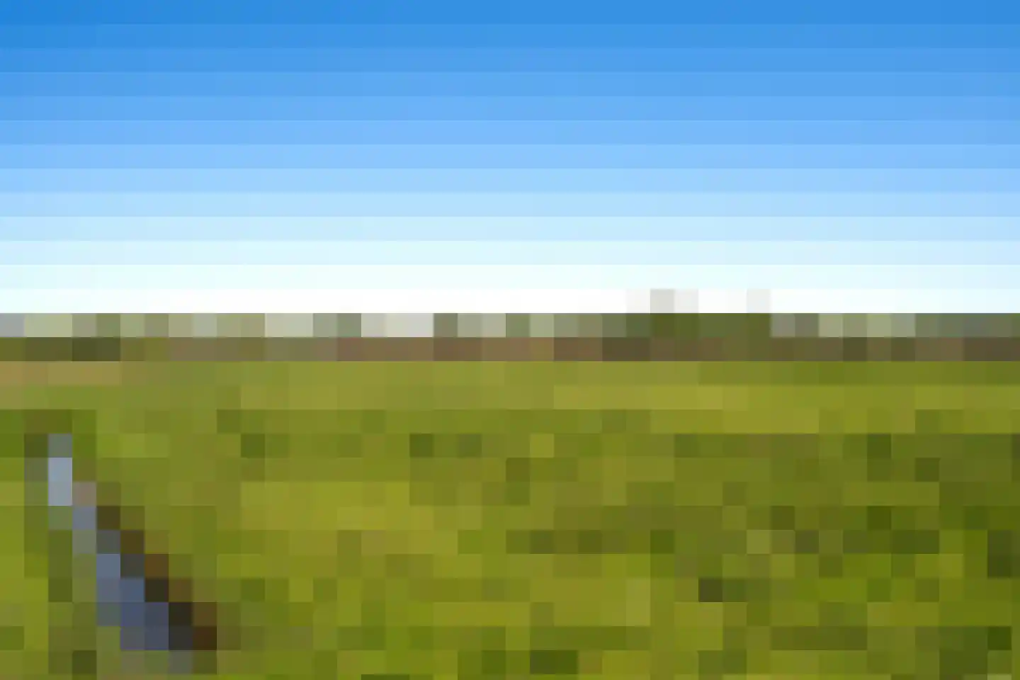 Hunzeweg 86 De Groeve thumbnail 29