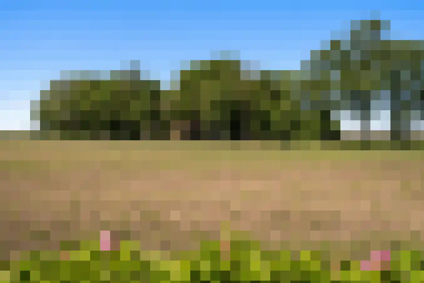 Hunzeweg 86 De Groeve thumbnail 4