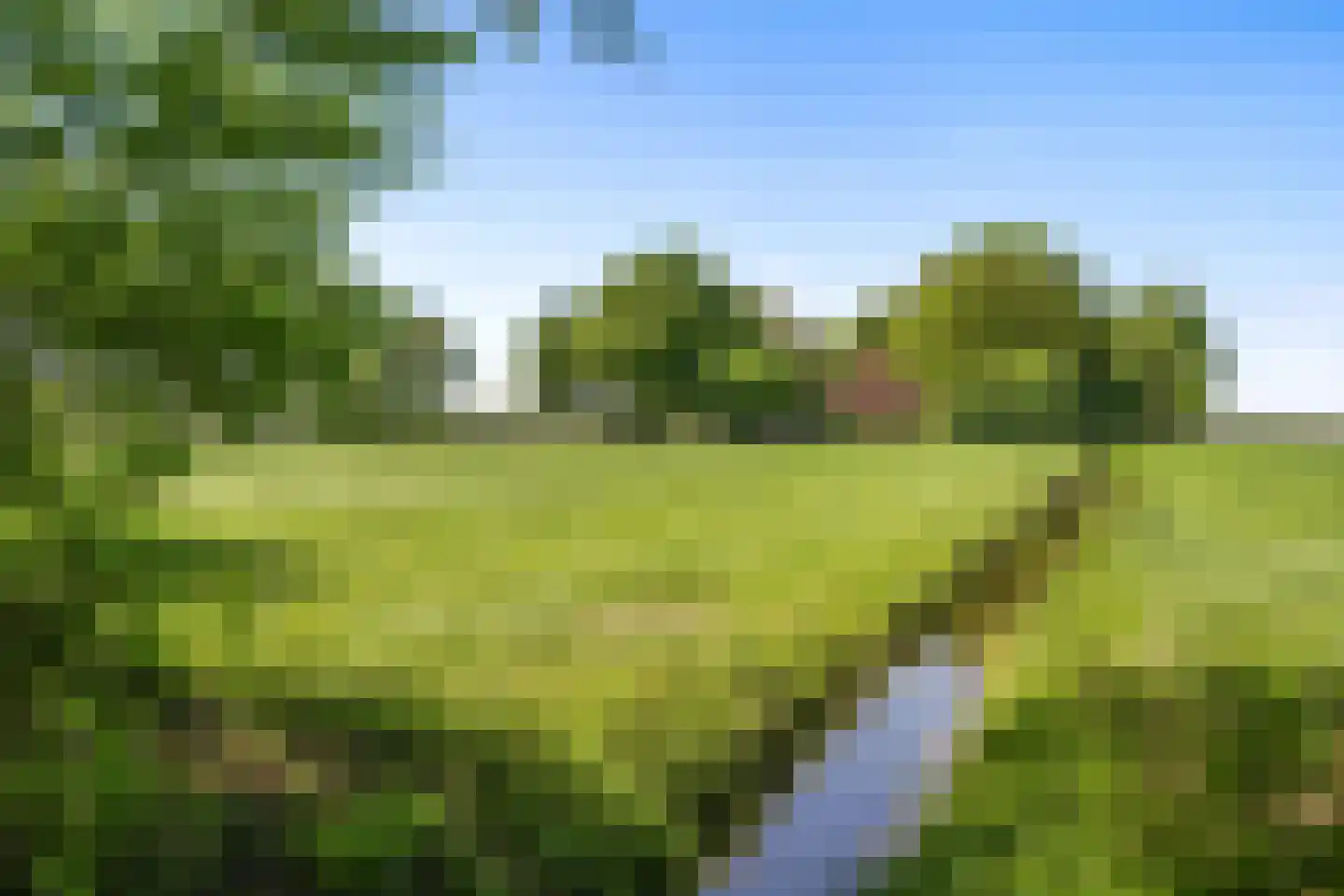 Hunzeweg 86 De Groeve thumbnail 5