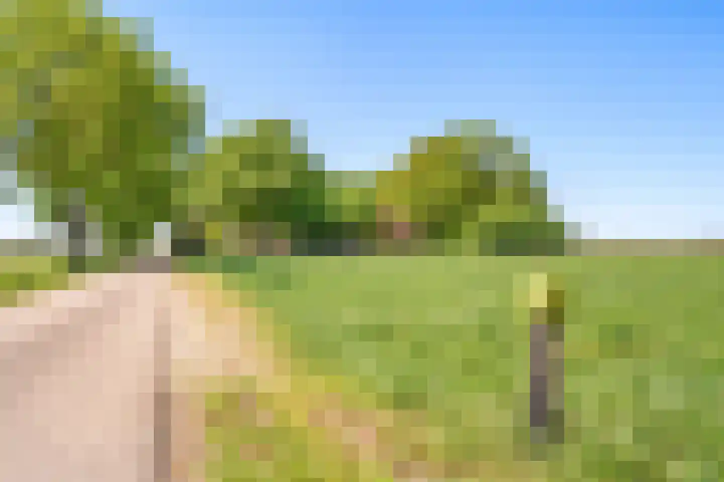 Hunzeweg 86 De Groeve thumbnail 6