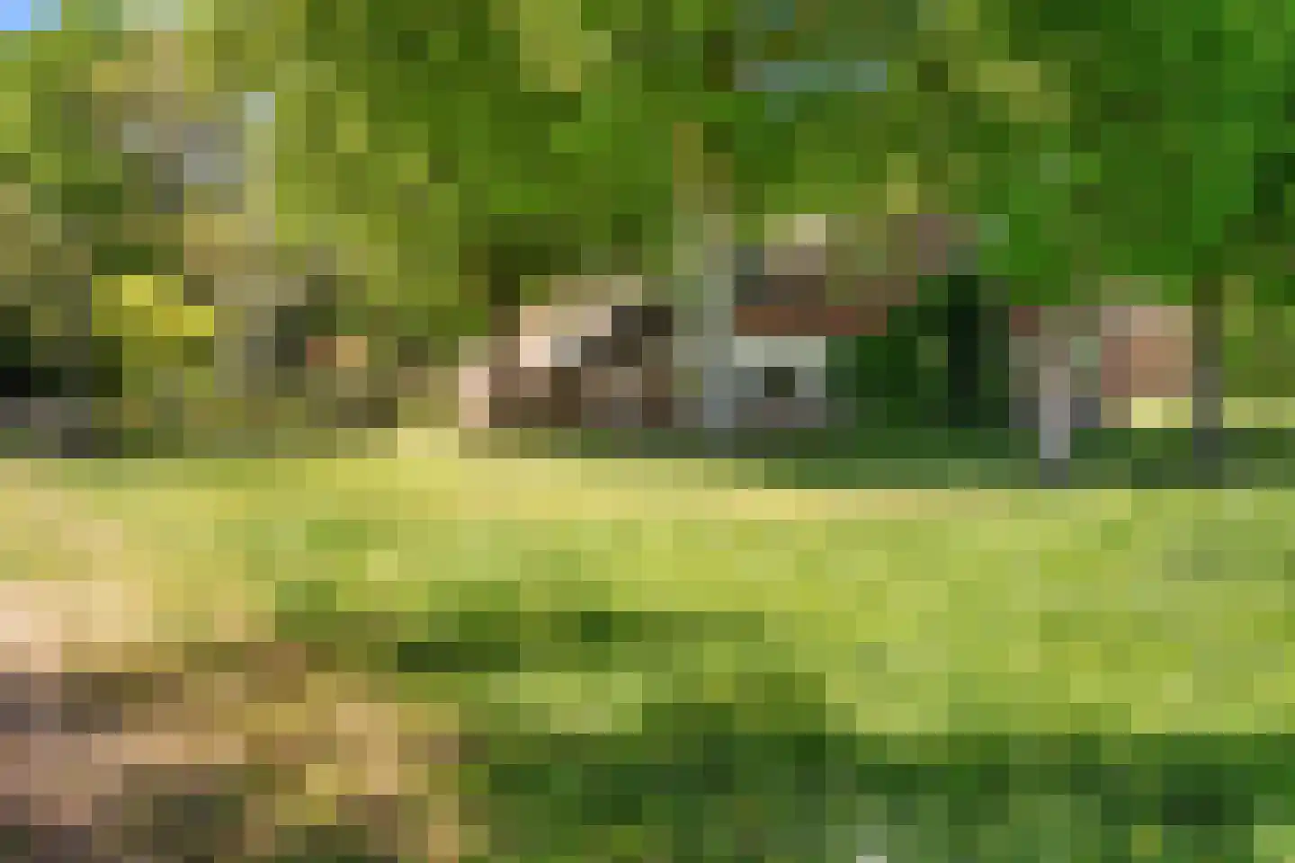 Hunzeweg 86 De Groeve thumbnail 8
