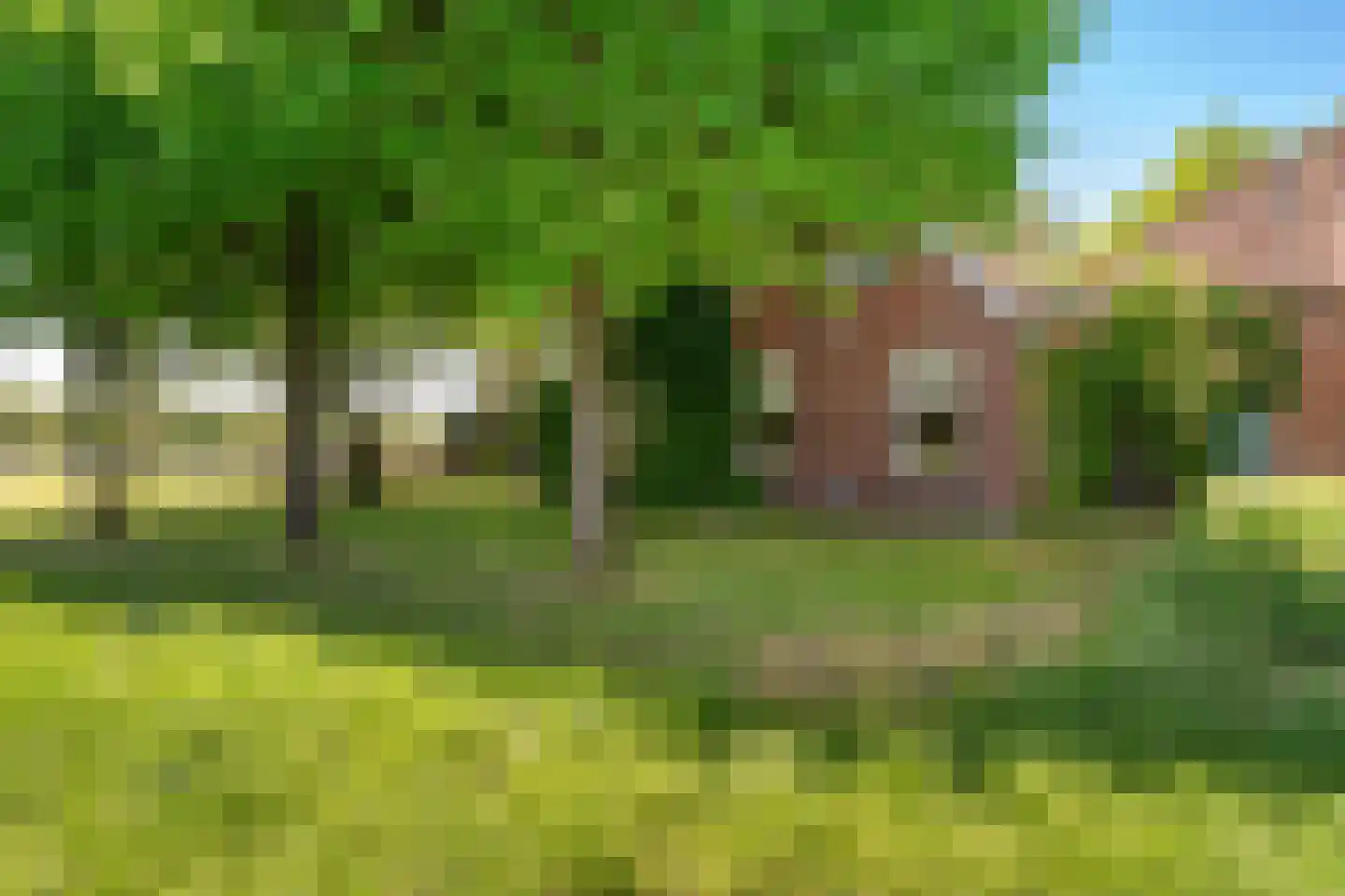 Hunzeweg 86 De Groeve thumbnail 9