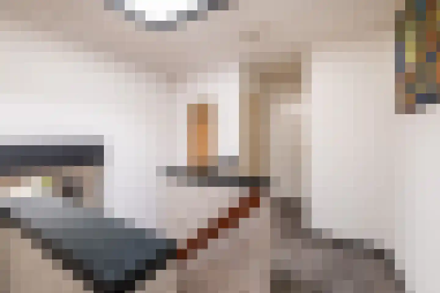 Hunzingo 4 Dronten thumbnail 21