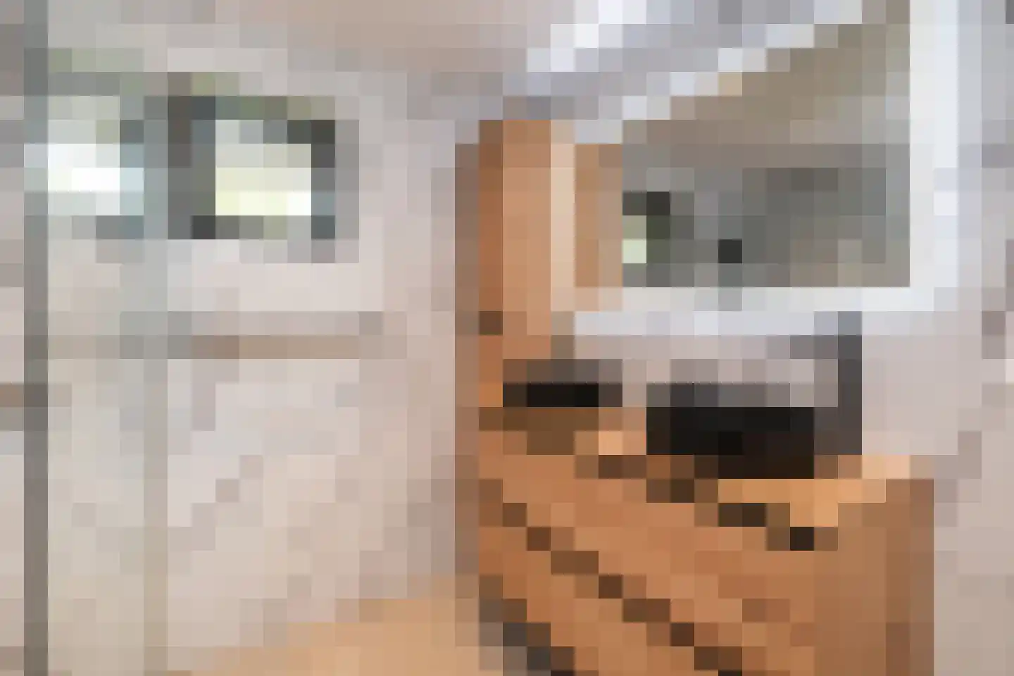 Hunzingo 4 Dronten thumbnail 25