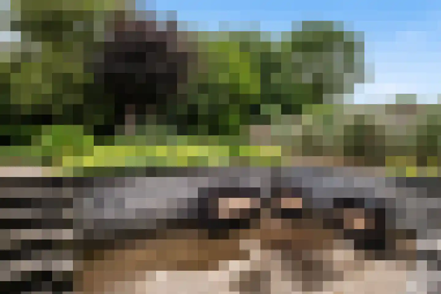 Hunzingo 4 Dronten thumbnail 36